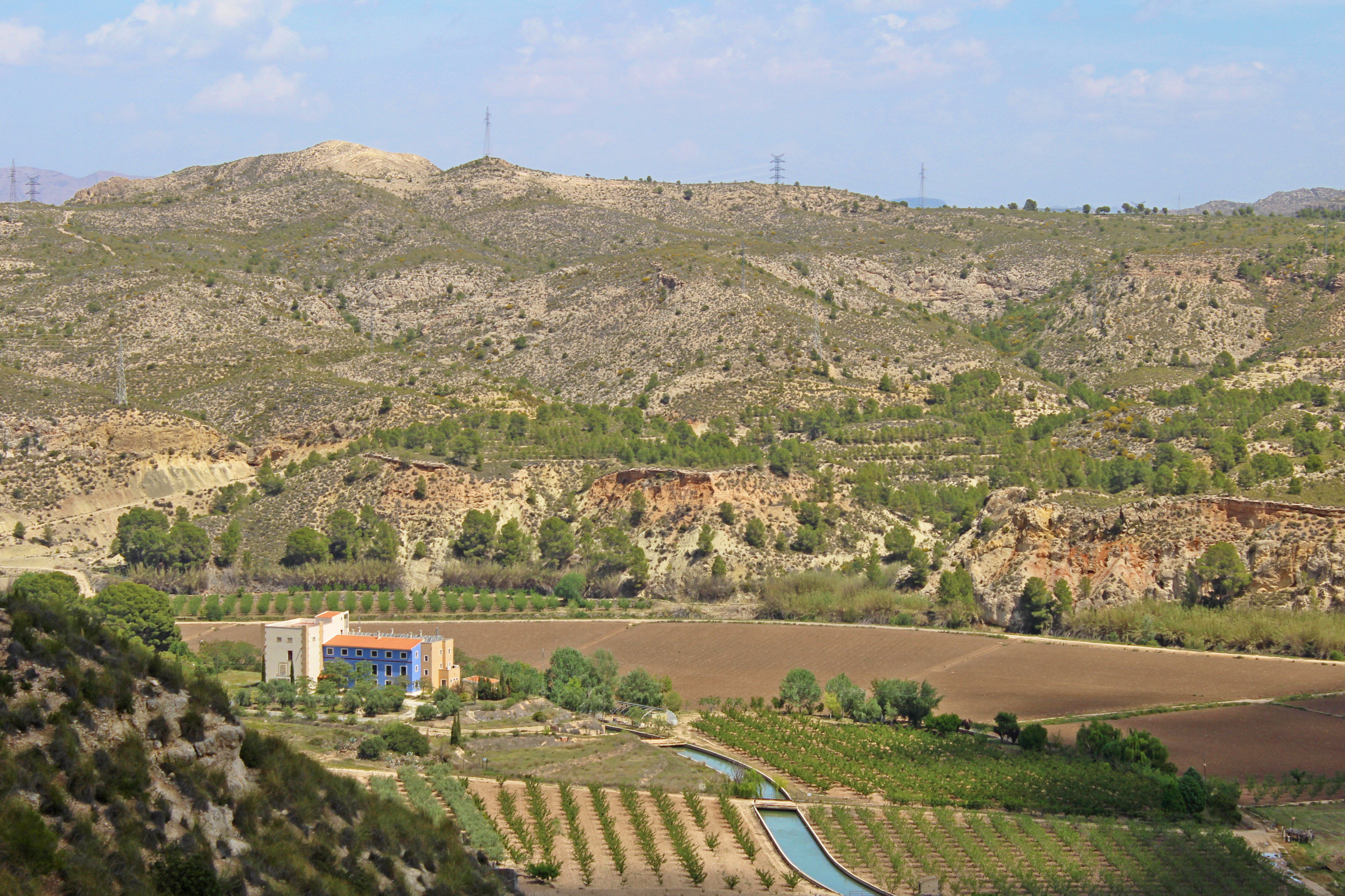 Agricultural landscape near Calasparra in the Region of Murcia, reflecting the rice-growing tradition behind the area&rsquo;s food culture.